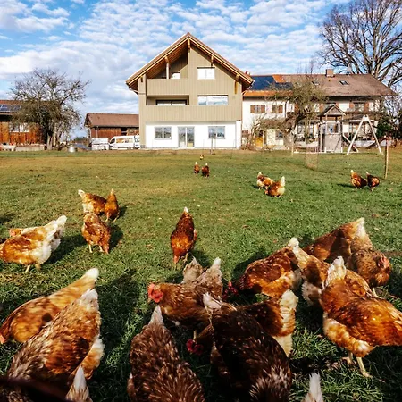 Tegelberg , Linde, Seeg-enzenstetten Im Allgaeu, Mit Koenigscard Apartmán Seeg
